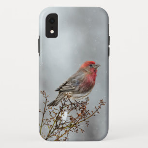 Capa Para iPhone Da Case-Mate House Finch in Snow - Foto original