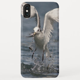 Capa Para iPhone Da Case-Mate Hovering Kittiwake