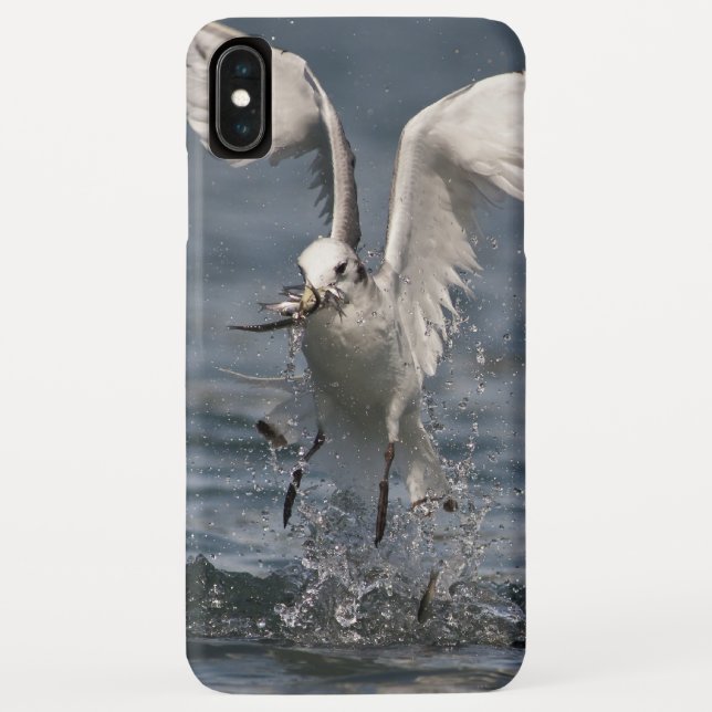 Capa Para iPhone, Case-Mate Hovering Kittiwake (Verso)