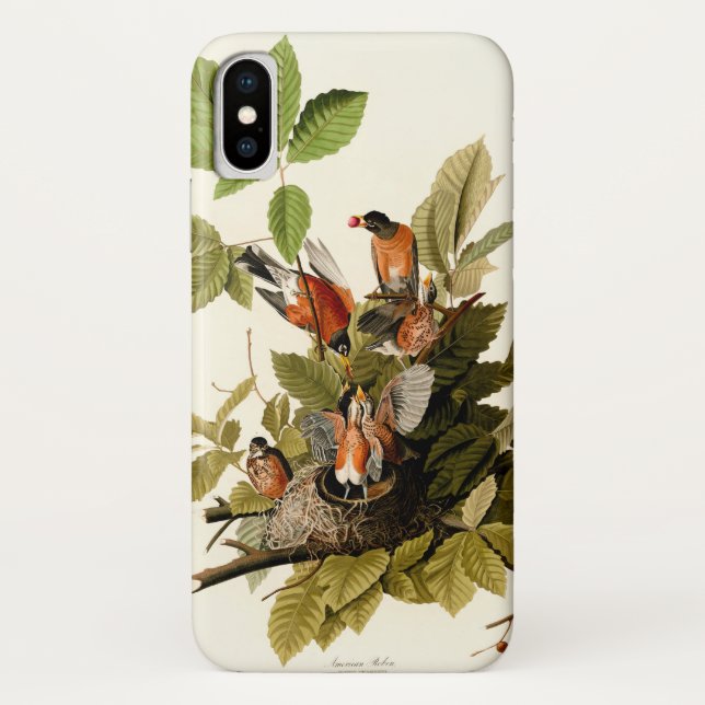 Capa Para iPhone, Case-Mate Ilustração de Pássaros Robin Wildlife da América d (Verso)