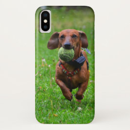 Capa Para iPhone Da Case-Mate Introduza sua própria foto de seu Dachshund liso