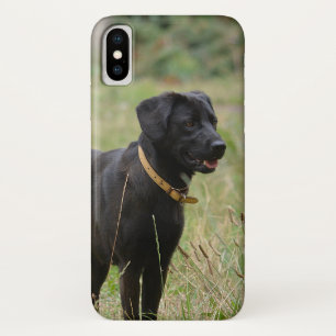 Capa Para iPhone Da Case-Mate Introduza sua própria foto de seu labrador