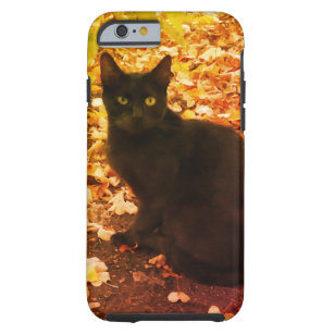 Capa Tough Para iPhone 6 iPhone 6/6, Fotografia de Gato Negro, Duro