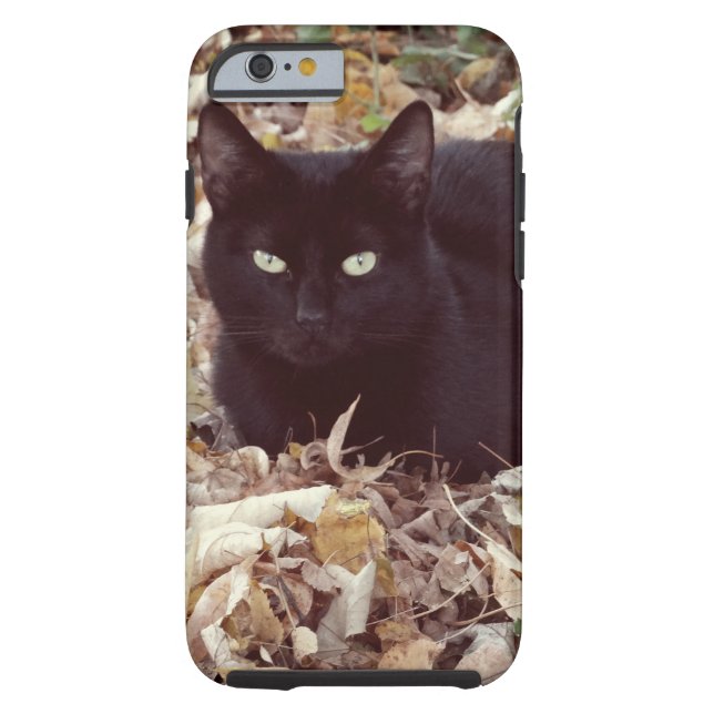 Capa Para iPhone, Case-Mate iPhone 6/6s da foto do gato preto, resistente (Verso)