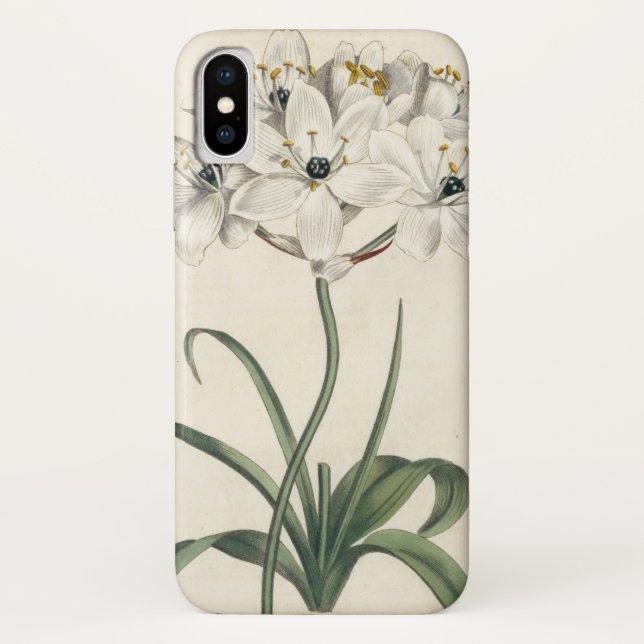 Capa Para iPhone, Case-Mate Ivory Garden (Verso)
