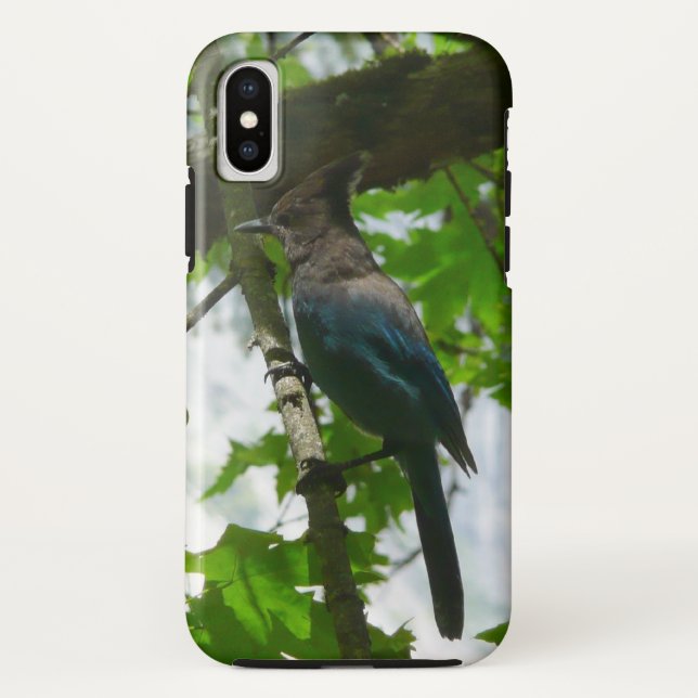 Capa Para iPhone, Case-Mate Jay de Steller no Parque Nacional de Yosemite (Verso)