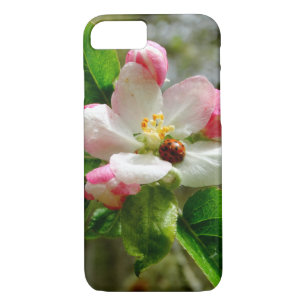 Capa iPhone 8/ 7 joaninha bonito nas flores brancas da flor de