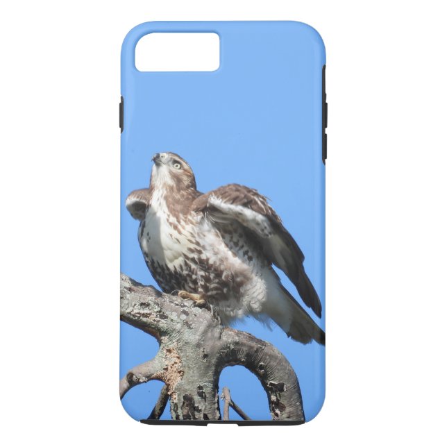 Capa Para iPhone, Case-Mate Juvenile Red Tail Hawk (Verso)