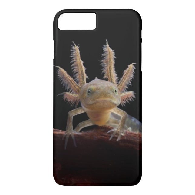 Capa Para iPhone, Case-Mate Larve com crista do newt (Verso)