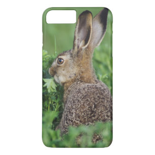 Capa Para iPhone Da Case-Mate Lebre-marrom, Lepus europaeus, jovem comendo,