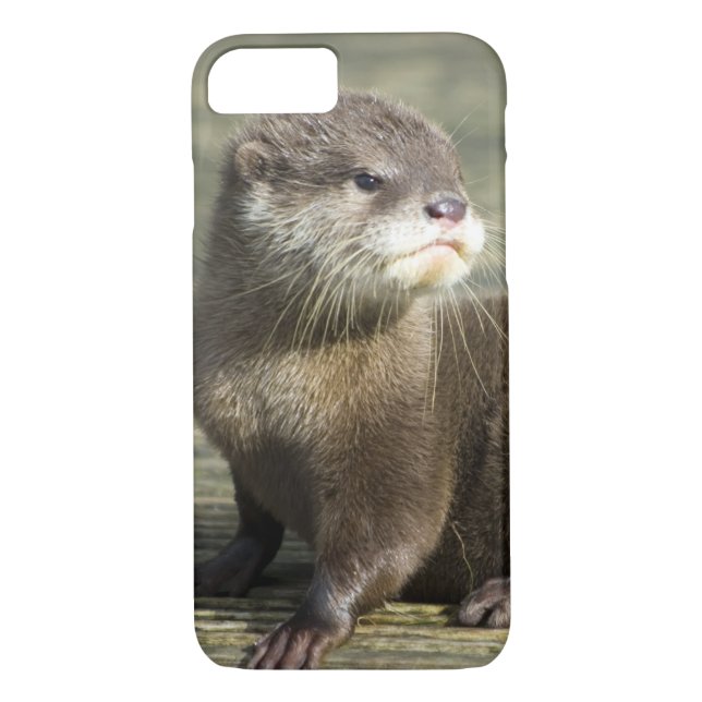 Capa Para iPhone, Case-Mate Lontra bonito do bebê (Verso)