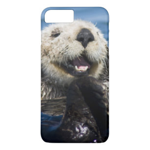 Capa iPhone 8 Plus/7 Plus Lontra marinha da Califórnia Enhydra lutris) se ar