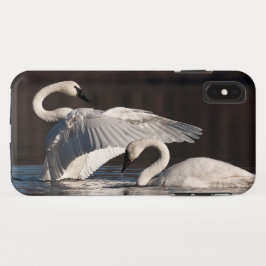 Capa Para iPhone Da Case-Mate Loving Swans