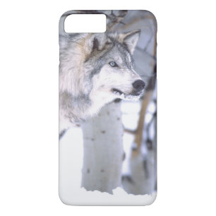 Capa Para iPhone Da Case-Mate Lúpus de lobo, de Canis de madeira, filme Utá