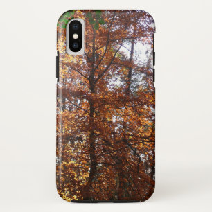 Capa Para iPhone Da Case-Mate Luz Solar Através de Árvore de Outono em Greenbelt