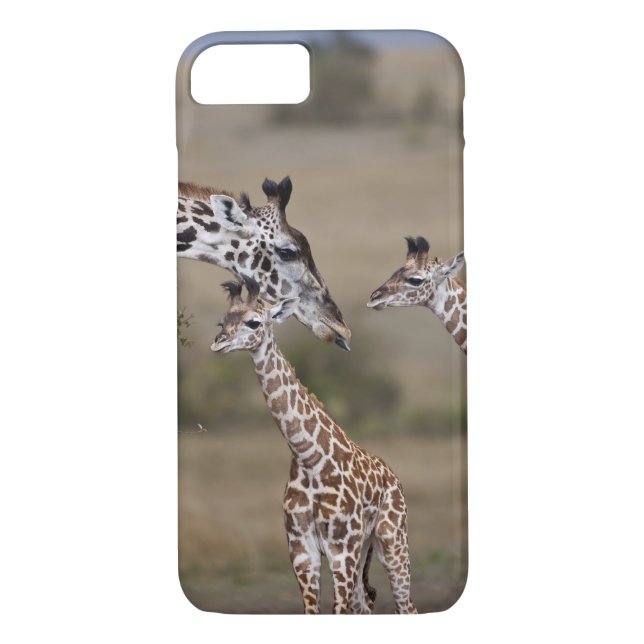 Capa Para iPhone, Case-Mate Maasai Giraffe (Giraffe Tippelskirchi) (Verso)