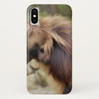 Macaco Loitering