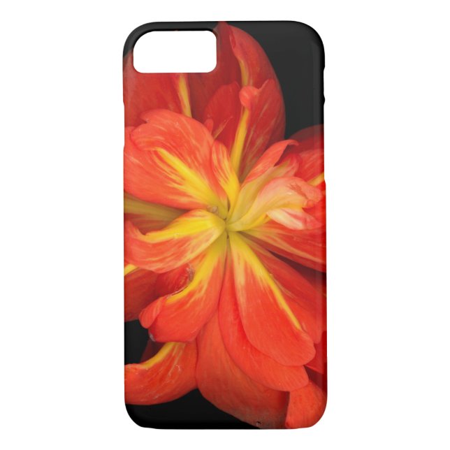 Capa Para iPhone, Case-Mate Macro de Begonia Laranja Vibrante (Verso)
