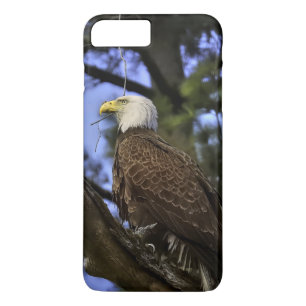 Capa iPhone 8 Plus/7 Plus Mature Bald Eagle