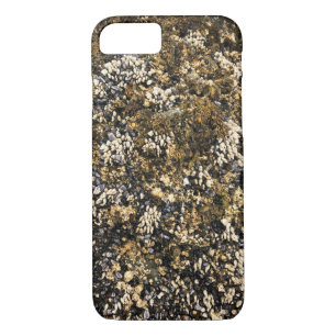 Capa iPhone 8/ 7 Meyers Beach North, Dourada Beach, Oregon