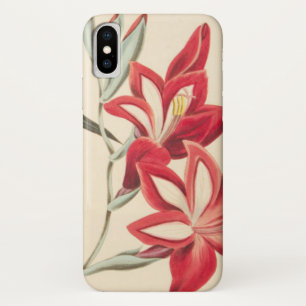 Capa Para iPhone X Milho-Bandeira magnífica