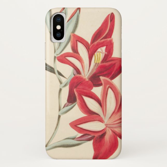 Capa Para iPhone, Case-Mate Milho-Bandeira magnífica (Verso)