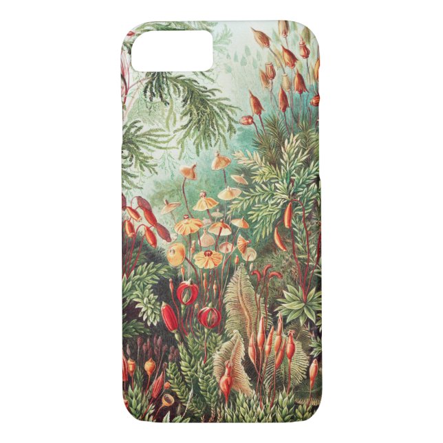 Capa Para iPhone, Case-Mate Mosses, Muscinae Laubmoose por Ernst Haeckel (Verso)
