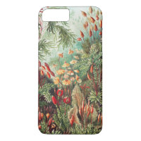 Musgos, Muscinae Laubmoose por Ernst Haeckel