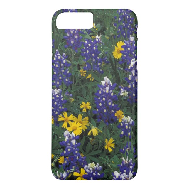 Capa Para iPhone, Case-Mate N.A., EUA, Texas, Marble Falls, Blue Bonnets (Verso)