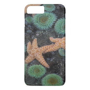 Capa Para iPhone Da Case-Mate N.A., EUA, Washington, Parque Nacional Olímpico