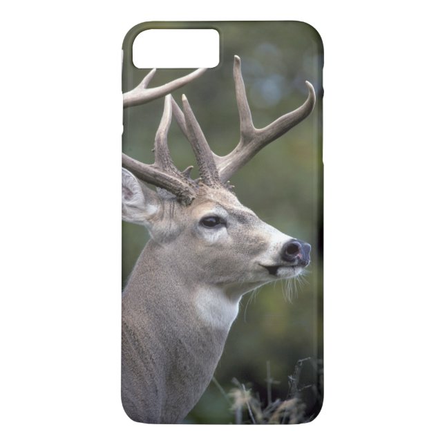 Capa Para iPhone, Case-Mate NA, EUA, Estado de Washington, veado branco, (Verso)