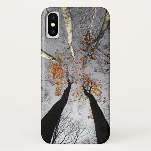 Capa Para iPhone, Case-Mate na floresta (Verso)