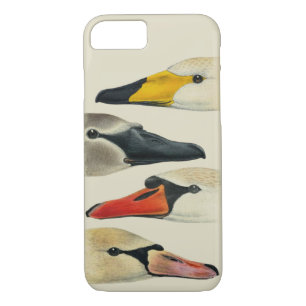 Capa iPhone 8/ 7 Natureza As muitas faces de um cisne