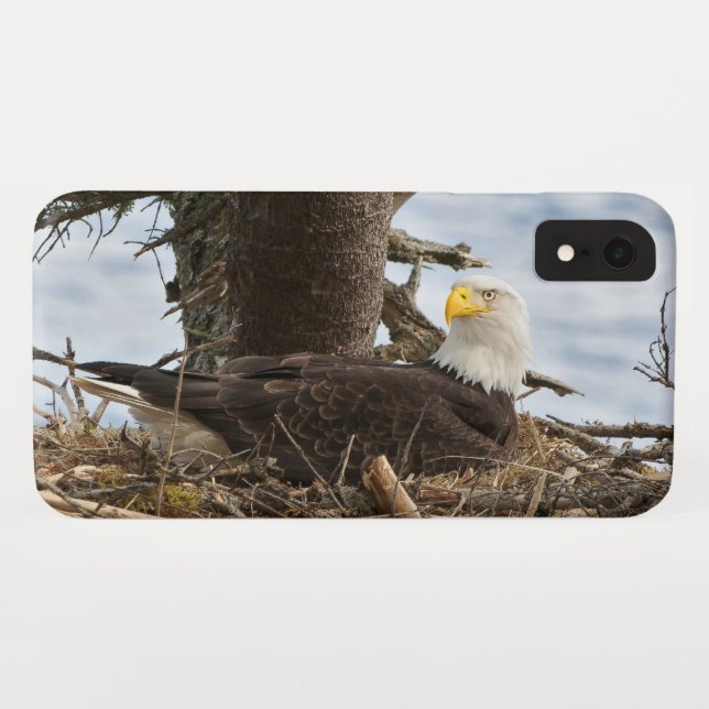 Capa Para iPhone, Case-Mate Nesting Bald Eagle (Verso (Horizontal))