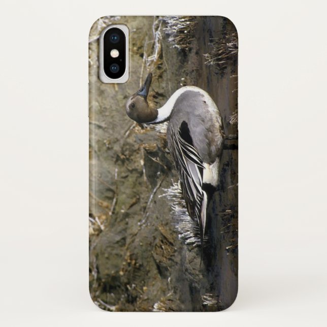 Capa Para iPhone, Case-Mate Norte Pintail Duck Amantes (Verso)