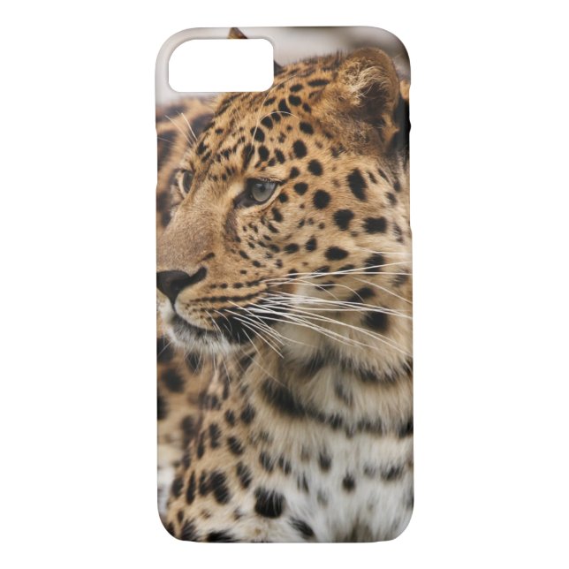 Capa Para iPhone, Case-Mate O leopardo (Verso)