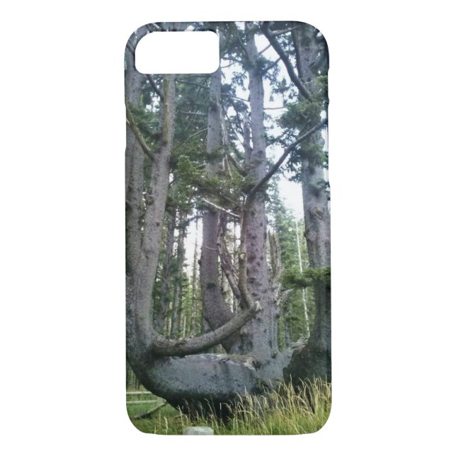 Capa Para iPhone, Case-Mate Octopus Tree, Cape Meares, Oregon (Verso)