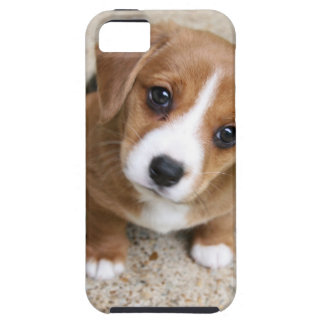 Capa Para iPhone 5 Olhos do cão de filhote de cachorro