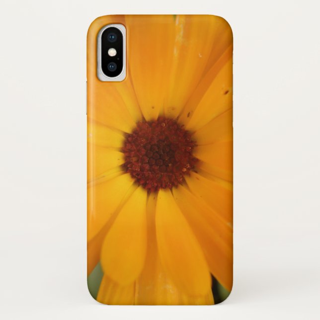 Capa Para iPhone, Case-Mate Orange Rain Daisy iPhone 5 Case (Verso)
