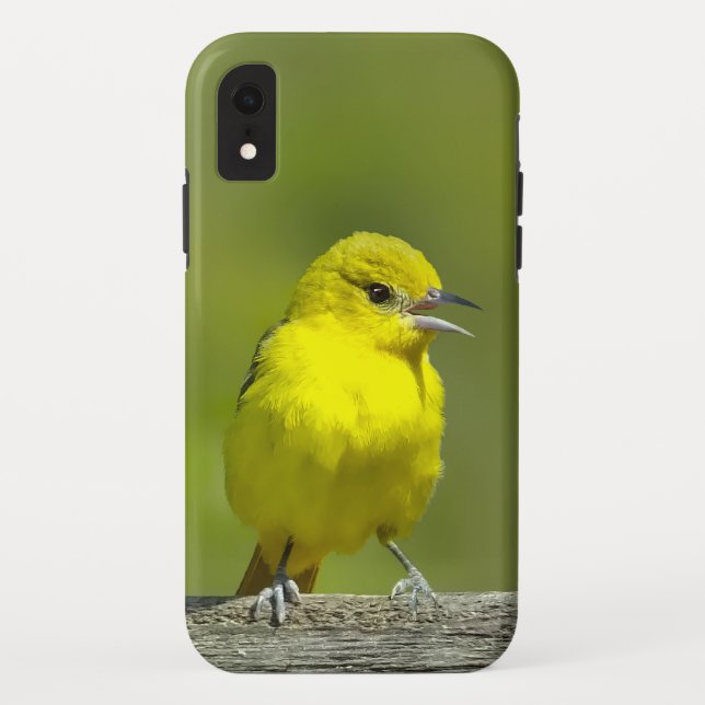 Capa Para iPhone, Case-Mate Orchard Oriole - Fotografia original (Verso)