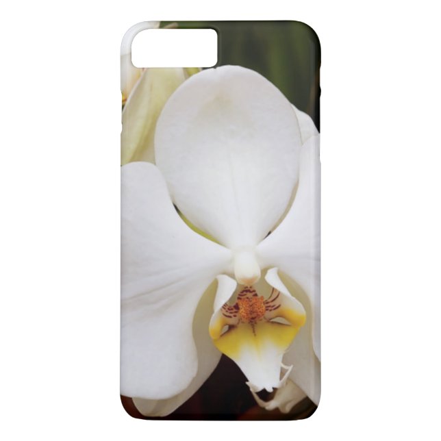 Capa Para iPhone, Case-Mate Orquídea Branca (Afrodite) (Verso)