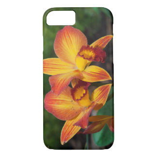 Capa iPhone 8/ 7 Orquídea Laranja Gorda Amarelo Rhyncattleanthe