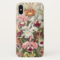 Orquídeas, Orchideae Denusblumen por Ernst Haeckel