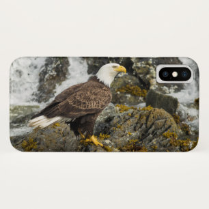 Capa Para iPhone Da Case-Mate Ortod Bald Eagle