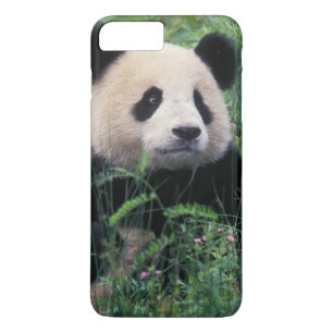 Capa iPhone 8 Plus/7 Plus Panda gigante na grama, Wolong Valley, Sichuan