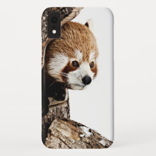 Capa Para iPhone Da Case-Mate Panda vermelha a sair de um tronco de árvore