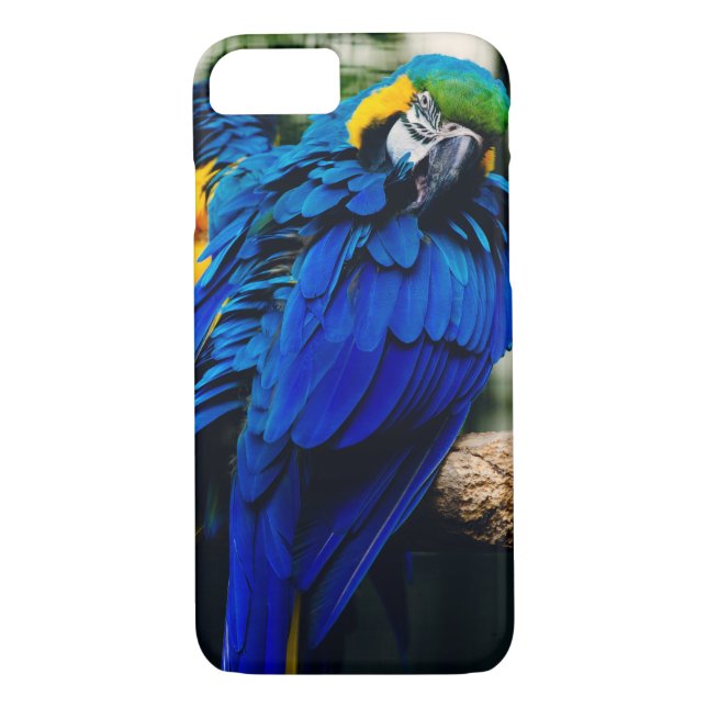 Capa Para iPhone, Case-Mate Papagaio azul do Macaw, pássaro tropical exótico (Verso)
