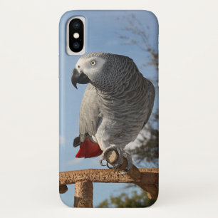 Capa Para iPhone X Papagaio impressionante do cinza africano