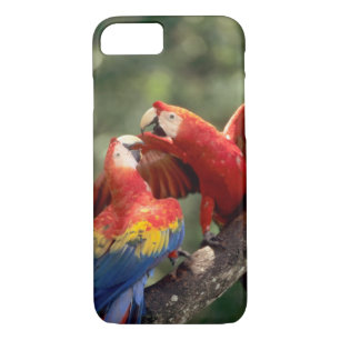 Capa Para iPhone Da Case-Mate Par de Macaws Escarlate