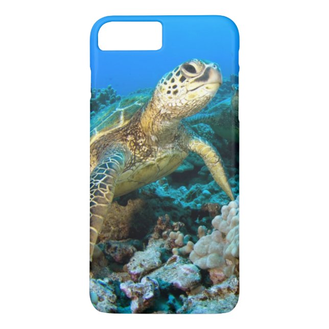Capa Para iPhone, Case-Mate Pares da tartaruga (Verso)